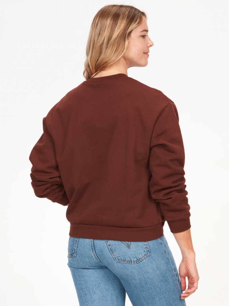 Tops Marmot Mountain Works Boxy Crewneck Mujer Chocolate | SPYI-56847